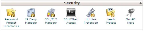 security hosting